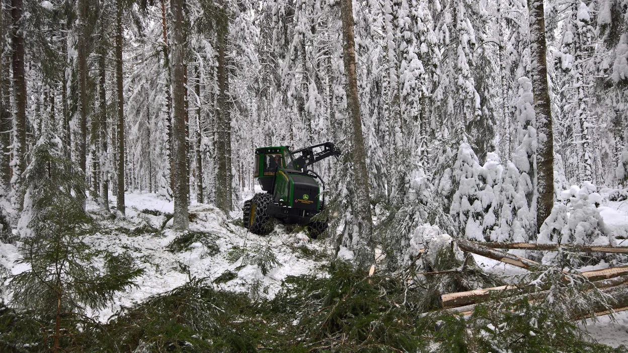Juha Marttilan mielestä Ylen uutisoinnissa on suhtauduttu liian kriittisesti metsien käyttöön.