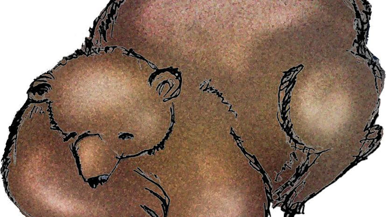 Karhut nukkuvat Suomessa noin lokakuun puolivälistä huhti-toukokuun vaihteeseen.