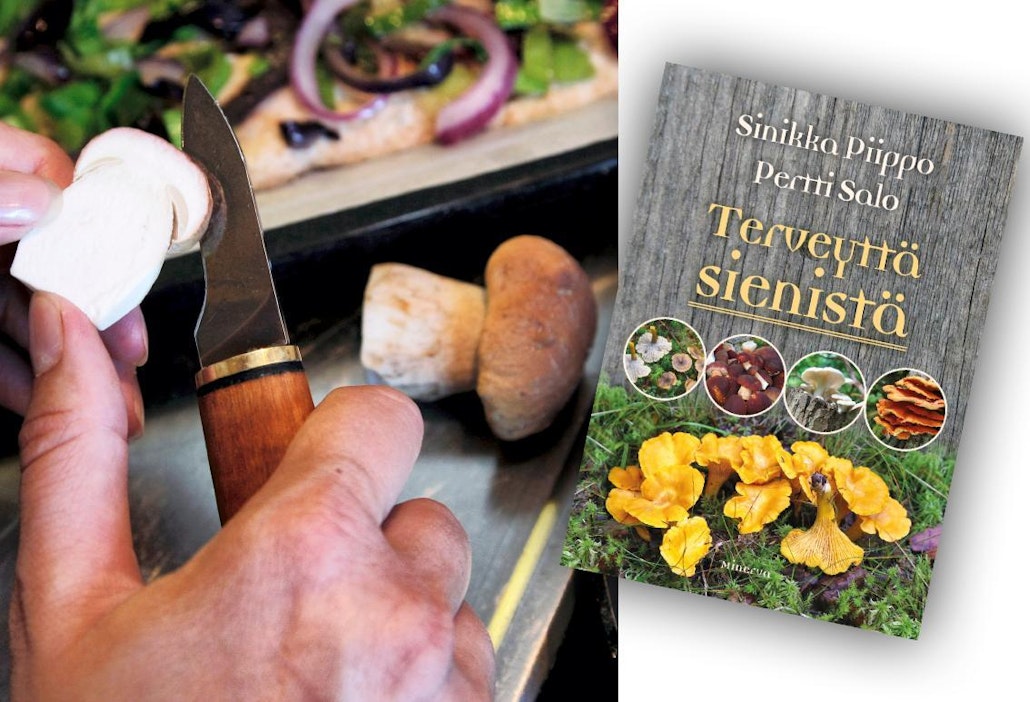 Sinikka Piippo ja Pertti salo: Terveyttä sienistä. 281 sivua. Minerva