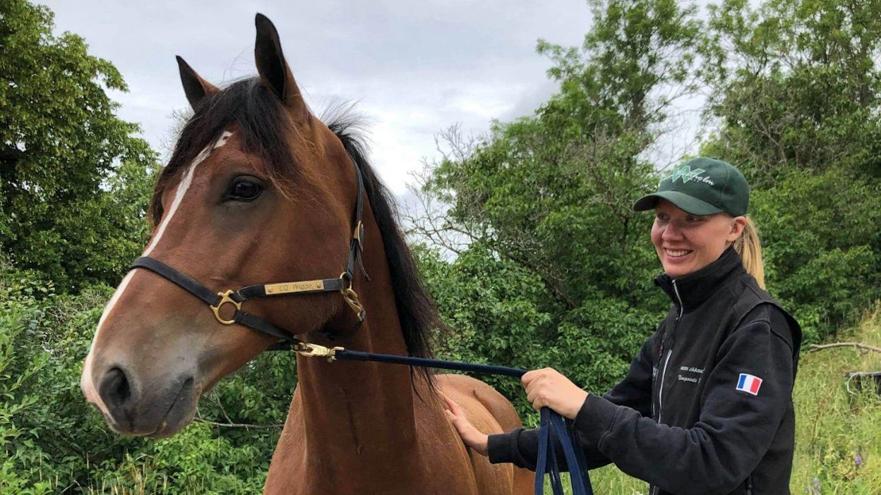 Heidi Jääskeläisen L.Q. Widde ei ole vielä kokenut tappiota urallaan. Kahdeksan starttia ja kahdeksan voittoa on vakuuttava saldo, jolle jatkoa haetaan juhannuslauantaina Rättvikin raveista.