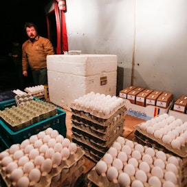 Kananmunia voi Reko-renkaassa tilata suoraan tuottajalta ilman välikäsiä.
