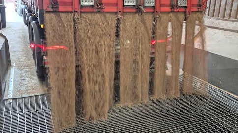 Anoran tavoitteena on lisätä ruisvehnän käyttöä. Ruisvehnän vastaanotto Koskenkorvan tehtaalla.