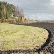 Muun muassa maan muokkaamisen vähentäminen ja kasvukauden ulkopuolinen kasvipeitteisyys on yksi maatalouden ilmastopäästöjä vähentävistä toimista. Kuvituskuva.