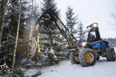 Mika Jouhkia mietityttää, miten puun korjuu saadaan kannattavaksi jatkuvaan kasvatukseen perustuvassa hakkuutavassa.