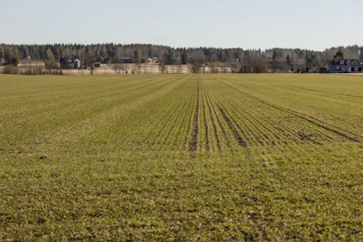 Myös lannoitteiden hinnat maailmanmarkkinoilla ovat nousseet Hormuzinsalmen sulun vuoksi.