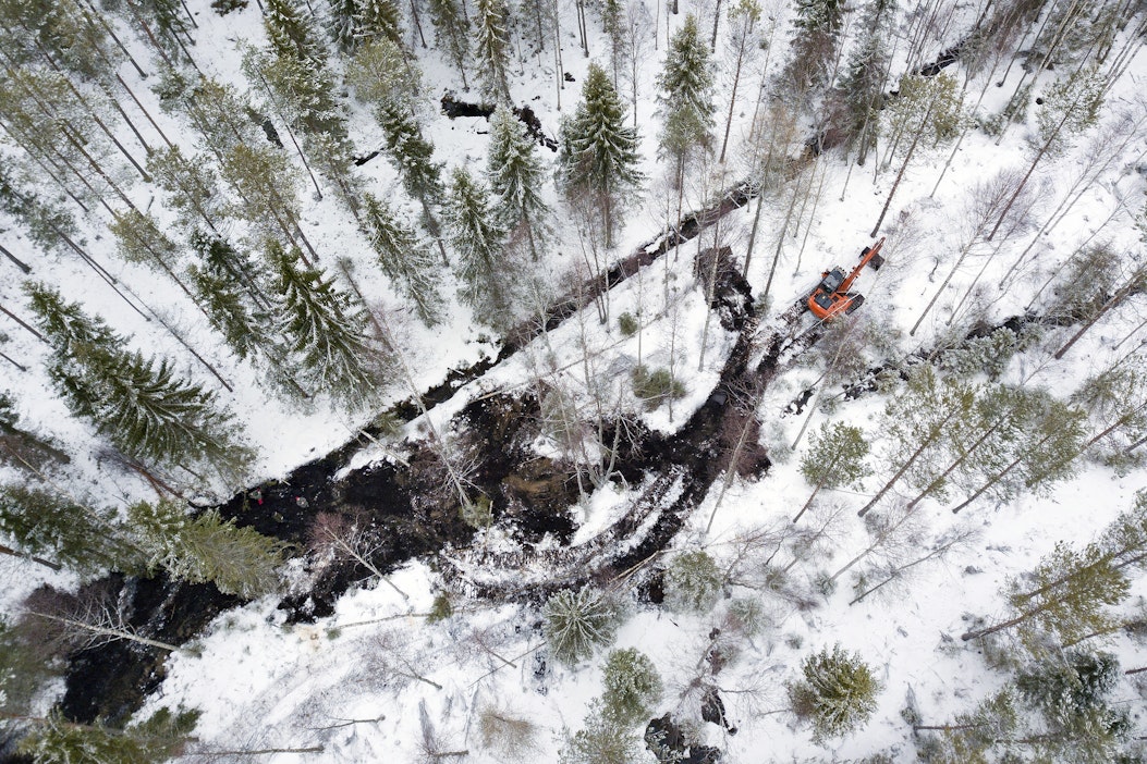 Metsäkeskus ennallistaa soita tuhansilla hehtaareilla - MT Metsä -  Maaseudun Tulevaisuus