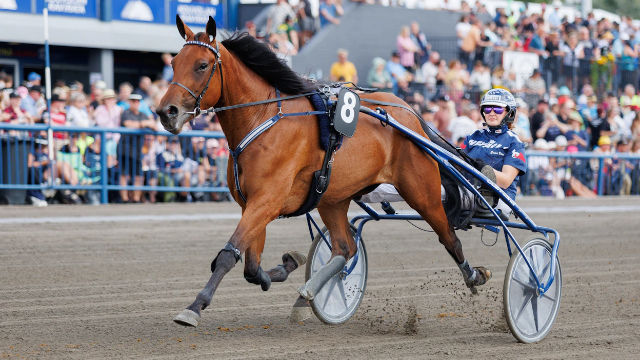 Conrads Lill Babs hankittiin Suomeen reilu vuosi sitten nelivuotiskauden lopulla. Suomessa tamma on juossut kahdeksan starttia Emma Väreen valmennuksessa.
