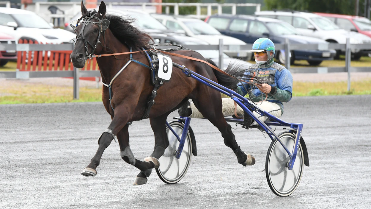 Noble Boy S ja Antti Ala-Rantala olivat eilen yksi viidestä potintekijävaljakosta Äimärautiolla.