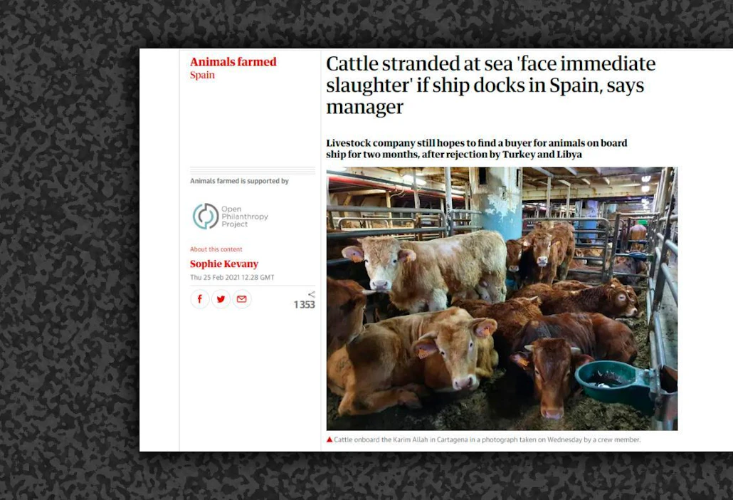 The Guardian -lehti kertoi eläinten ahdingosta helmikuun lopussa.