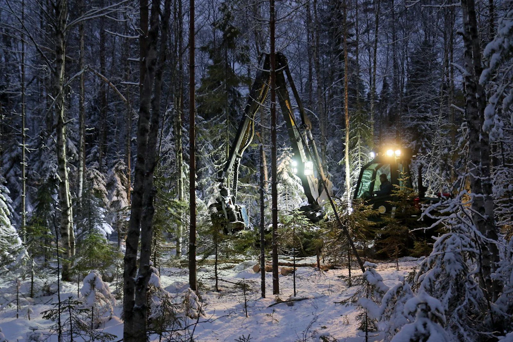 Suomessa on paljon metsiä, joissa voidaan toteuttaa – ja toteutetaan jo – jatkuvapeitteistä metsänkasvatusta. Näiden monivaiheisten metsien käsittelyssä koneenkuljettajille tulee eteen aivan erilaiset haasteet kuin perinteisissä harvennus- ja uudistushakkuissa.