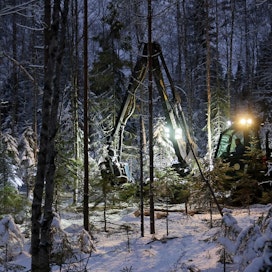 Suomessa on paljon metsiä, joissa voidaan toteuttaa – ja toteutetaan jo – jatkuvapeitteistä metsänkasvatusta. Näiden monivaiheisten metsien käsittelyssä koneenkuljettajille tulee eteen aivan erilaiset haasteet kuin perinteisissä harvennus- ja uudistushakkuissa.