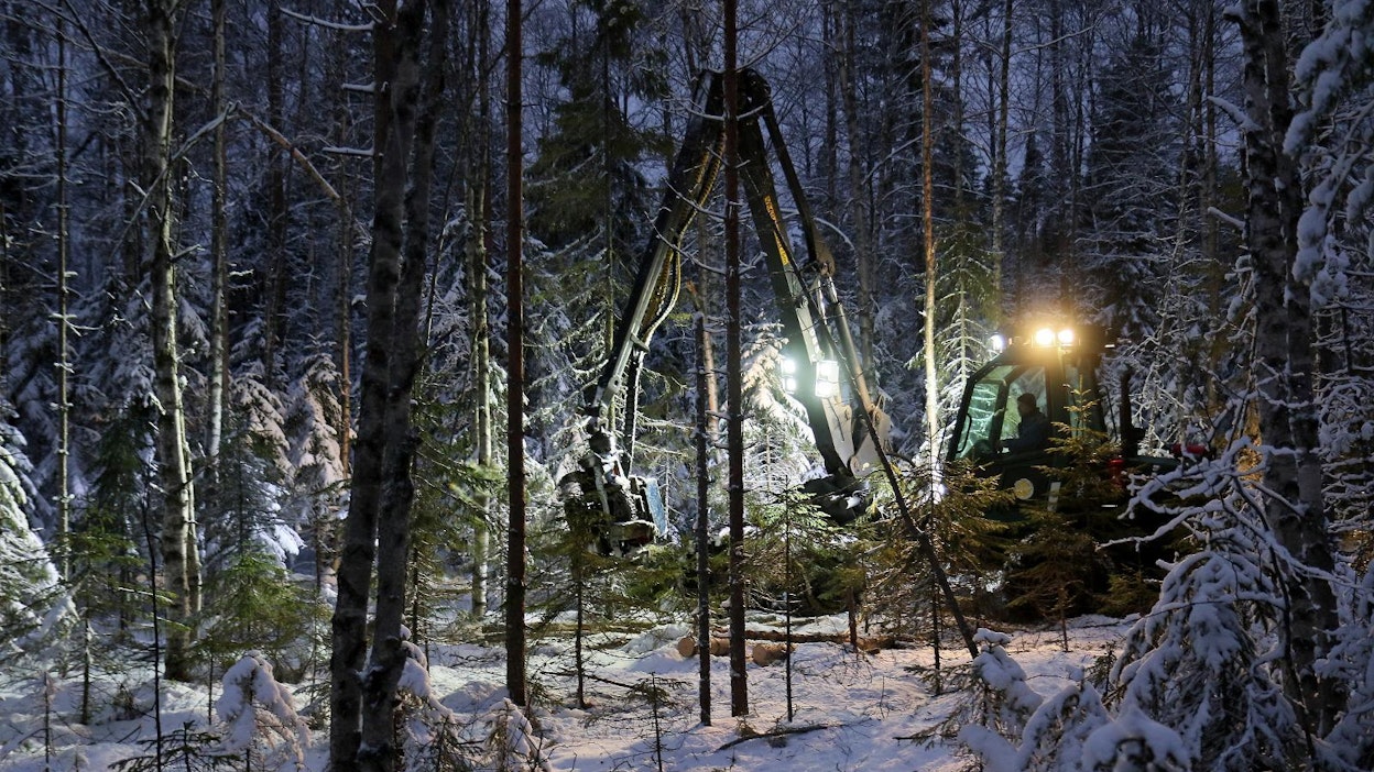 Suomessa on paljon metsiä, joissa voidaan toteuttaa – ja toteutetaan jo – jatkuvapeitteistä metsänkasvatusta. Näiden monivaiheisten metsien käsittelyssä koneenkuljettajille tulee eteen aivan erilaiset haasteet kuin perinteisissä harvennus- ja uudistushakkuissa.