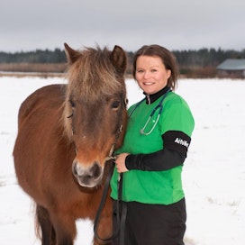 Hevosten hammashoitoihin syventynyt eläinlääkäri Soile Pakkanen on myös suomenpienhevosten kasvattaja.