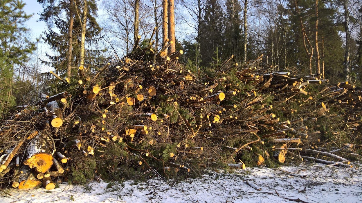 Metsähakkeen käyttö nousi viime vuonna 8,3 miljoonaan kuutioon.