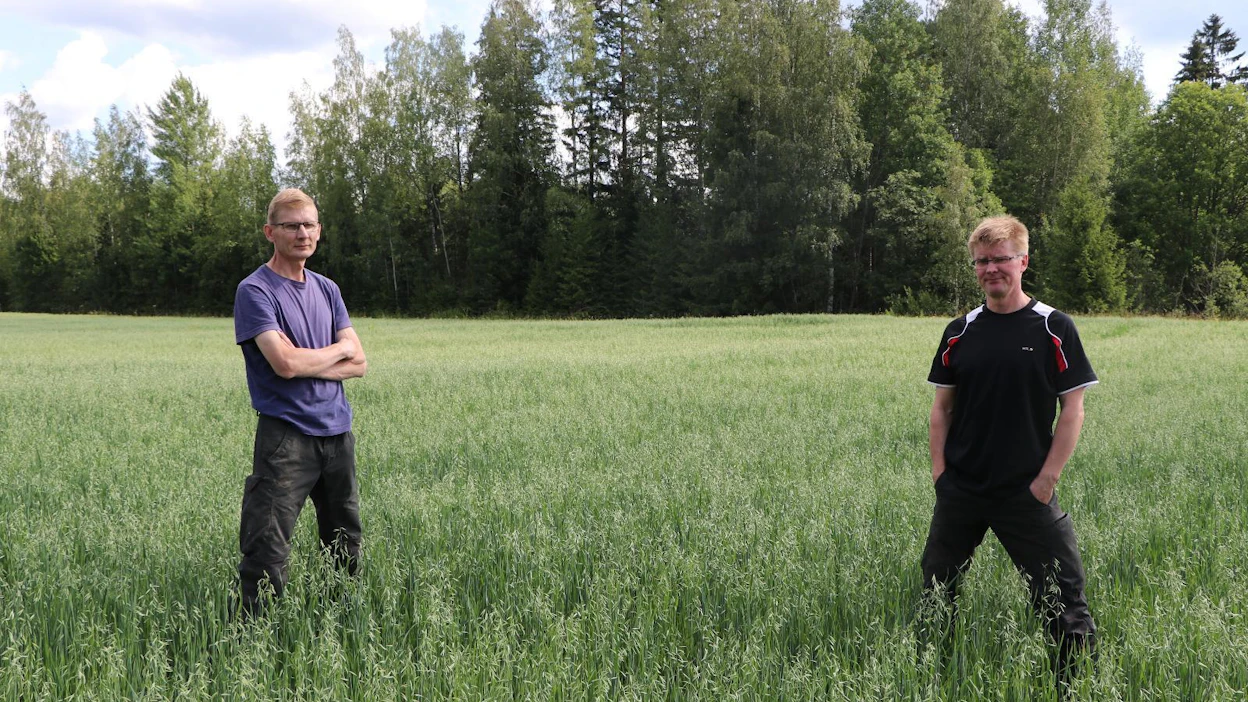 Juha (vas.) ja Timo Veijalainen siirtyivät pelloillaan tänä keväänä suorakylvöön. "Osaksi tämä on opettelua vielä, mutta positiivinen käsitys jäi", Juha Veijalainen sanoo.