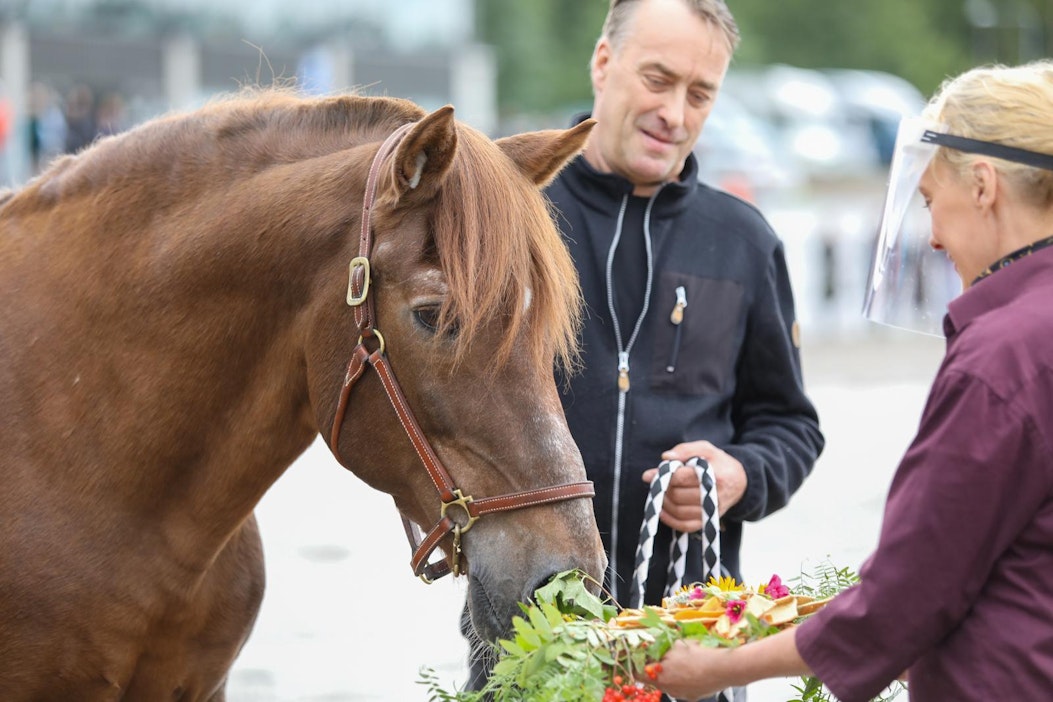 Vieskerille tarjottiin porkkanoita raastettuna.