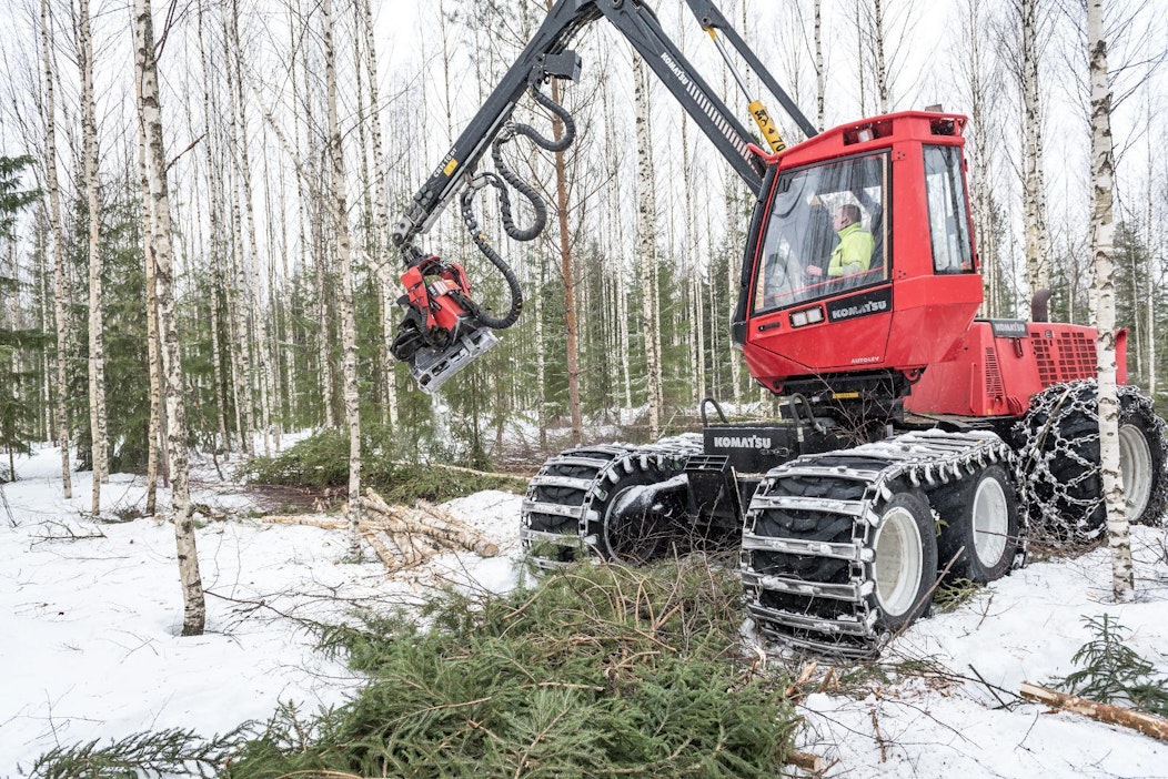 Puunkorjuu putosi viime vuonna takaisin normaaliksi.