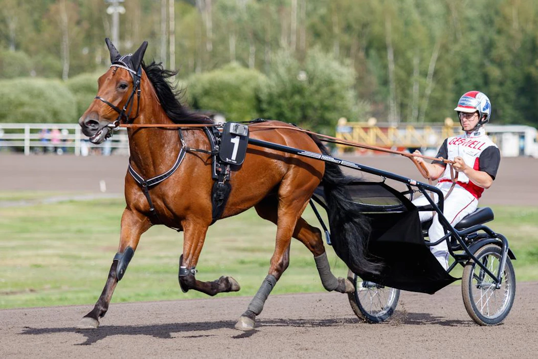 Yli kahden vuoden tauolta palaava Better Boss on tapaninpäivän seuratuimpia hevosia. Sen valmentaja Iikka Nurmonen on muutenkin kierroksen avainhahmoja.