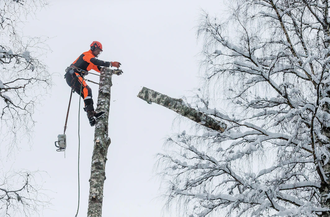 Puiden poistaminen on muun muassa soutua harrastavalle Pekka Soinille myös oiva tapa pitää yllä fyysistä kuntoa.