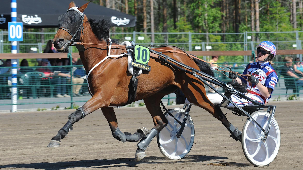 Juliet Ale on upea tamma. Nykyään siitoksessa vaikuttavan 10-aikaisen menijän valmentaja Tiina Koskinen on hankkinut talliinsa Julietin pikkusiskon.