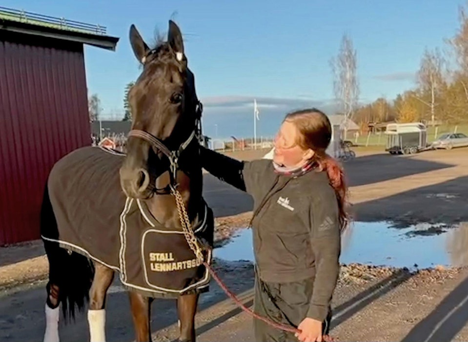 Kim Kannela viihtyy hyvin hevosenhoitajana Ruotsissa.