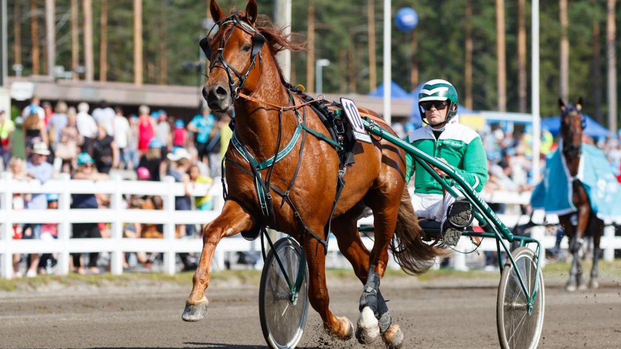 Pekka Luukkosen taiten treenaama Lissun Eerikki on käynnistänyt kautensa kahdella loistavalla voitolla. Voimaori on kohonnut niiden myötä kuninkuusspekulaatioiden kuumimmaksi nimeksi. Pääsiäisenä "Erkki" twistaa Kaustisen Pelimanni-ajossa.