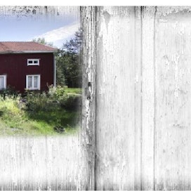 Pätkä unelmaa. Tämä punainen tupa on palanen aitoa pohjalaistaloa. Talon osa on jo 1900-luvun alussa siirretty Kyrönjoen rannalta nykyiseen paikkaansa muutaman kymmenen kilometrin päähän. Talon toisen pään kohtalosta ei ole tietoa. Autiotalojen kohtalona on usein päätyä varastoksi.