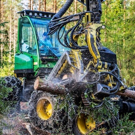 Ruotsissa joka puukaupan yhteydessä perittäisiin metsiensuojelumaksu, jos tuore ehdotus menee läpi.