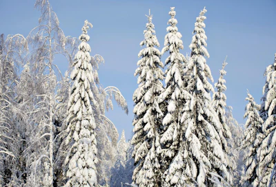 Eteläisimmän Suomen osalta ilmastonmuutos tulee luultavasti pienentämään lumituhoriskiä. Vastaavasti on kuitenkin alueita, joilla lumituhoriski tulee todennäköisesti kasvamaan.