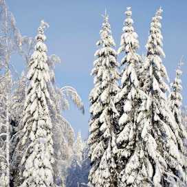 Eteläisimmän Suomen osalta ilmastonmuutos tulee luultavasti pienentämään lumituhoriskiä. Vastaavasti on kuitenkin alueita, joilla lumituhoriski tulee todennäköisesti kasvamaan.