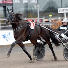 Power on tämän vuoden Prix d´Ameriquessa ainoa ruotsalaisomisteinen hevonen.
