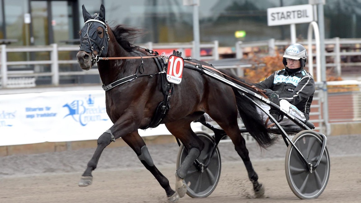 Power on tämän vuoden Prix d´Ameriquessa ainoa ruotsalaisomisteinen hevonen.
