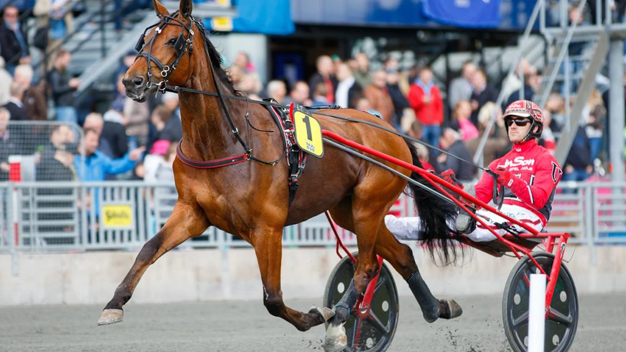 Täältä tullaan Elitloppet! Cyber Lane starttasi suosikkin Copenhagen Cupiin ja lunasti lupauksensa vakuuttavaan tyyliin.