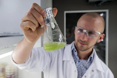 Lauri Reuter on tutkinut kasvisolukkokasvatusta laboratoriossa.
