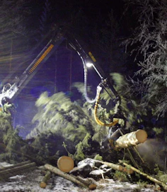 Tuskinpa Einarin mielikuvitus nuoruudessa savottareen pankolla osasi maalata tällaista spektaakkelia kotipeltonsa taakse. Yösavotan koneet olivat periaatteessa samat kuin Metkossa, mutta kulissit paljon eksoottisemmat. Jättikuusikin joutui nöyrtymään Ponsse Bearin edessä.