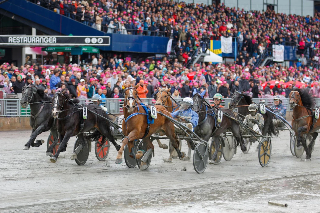 Viime vuoden Elitkampenissa oli mukana kaksi suomalaisedustajaa ja koko Elitloppet-viikonlopussa nähtiin iso tukku kotimaisia kärkihevosia.