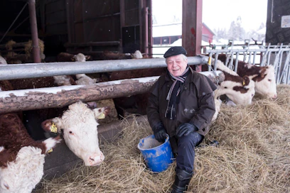 Forssalainen maanviljelijä, MTK-veteraani ja kokenut kunnallispoliitikko Markku Länninki täyttää 70 vuotta. Hän on juhlapäivänä matkoilla Kap Verdellä puolisonsa Pirjo Poutasen kanssa.