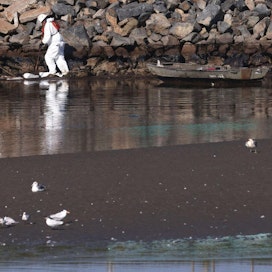 200 000 asukkaan Huntington Beachin kaupungin rannikolle on rantautunut suuria määriä kuolleita lintuja ja kaloja. LEHTIKUVA / AFP