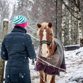 Ratsastuskouluyrittäjä tarvitsee menestyäkseen hyviä ja luotettavia hevosia, tietää kenttäratsastuksessakin kilpaillut Katri Mennala. Varjo on tehnyt tuntihevosena yli 20 vuoden työuran. Se käy tunneilla viitenä päivänä viikossa, mutta lähtee yhä töihin mielellään.