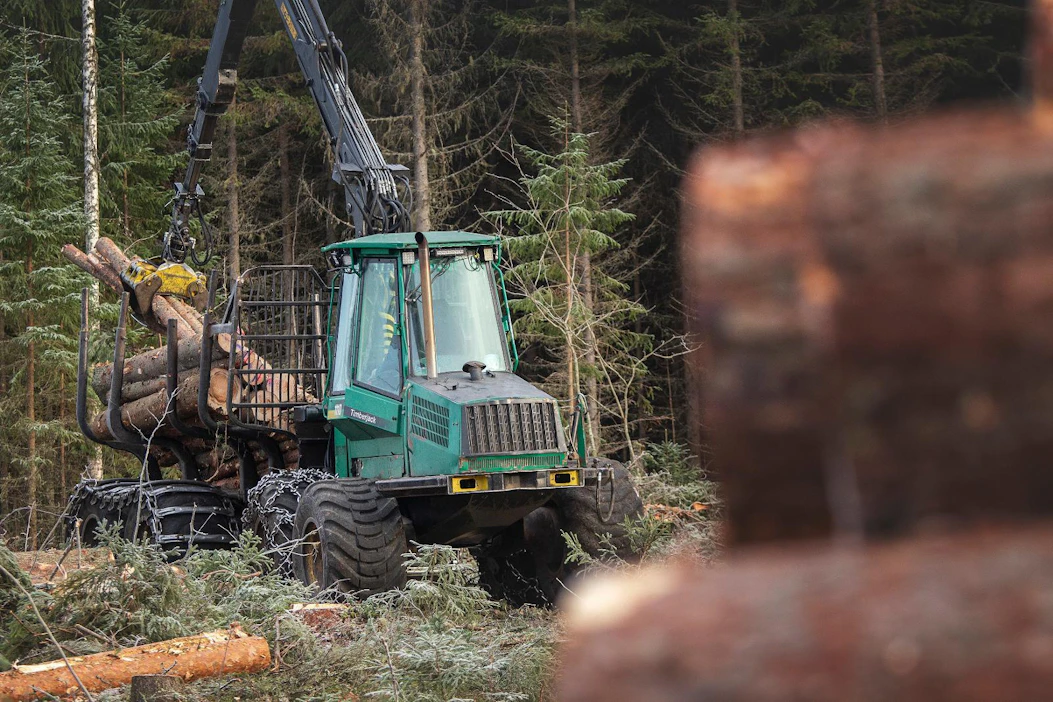 Suomi toivoo, että metsien hiilinieluja voitaisiin käyttää ilmastotavoitteisiin pääsemisessä sellaisenaan ilman keinotekoista kattolukua.