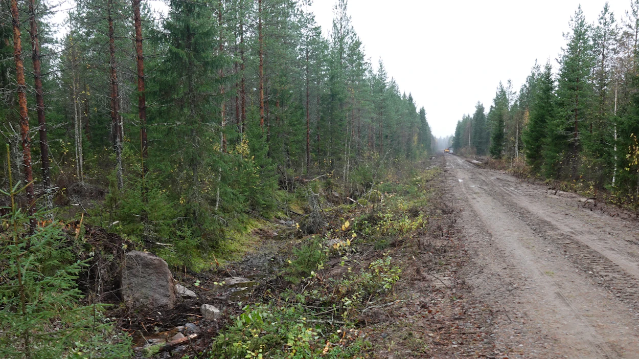 Lanauksen ohella metsäautoteiden varsissa olevat risukot on raivattava, jotta ojat saisi tehdyksi oikeaan kohtaan. Vesakko tulisi murskata vähintään parin vuoden välein.