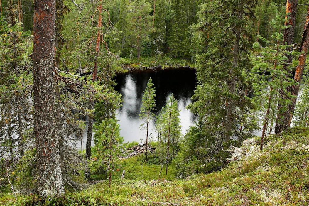 Suomussalmella sijaitsevan Hossan luonto on vaihtelevaa. Myös kaikkia Suomen suurpetoja on tavattu Hossassa.