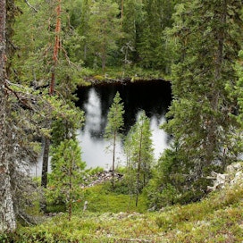 Suomussalmella sijaitsevan Hossan luonto on vaihtelevaa. Myös kaikkia Suomen suurpetoja on tavattu Hossassa.