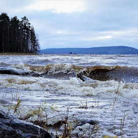Jopa yli 23 metriä sekunnissa puhaltanut tuuli kaatoi puita ja katkoi sähköjä läntisessä Suomessa. Lukija kuvasi vaahtopäitä idässä Pielisellä.