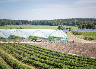 Marjatilan tunnelit sijaitsevat Kokemäenjoen rannalla Huittisissa. Kausitunnelit ovat Suomessa vielä melko harvinaisia.