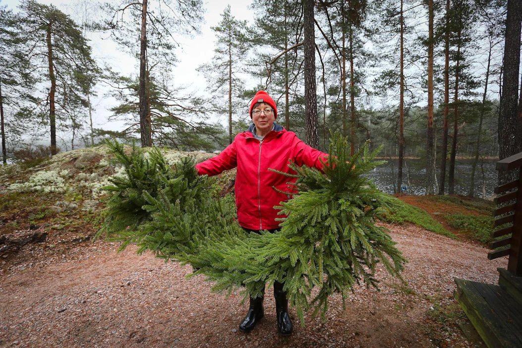 Tiina Lietzén toimittaa havuja myyntiin ja askartelee niistä muun muassa havumattoja. Havuja ostavat kukkakaupat käyttävät niitä esimerkiksi asetelmiin, havupalloihin, kransseihin ja haudoille.