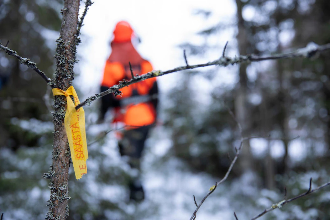 Sairauskohtaus metsässä voi olla kohtalokas, jos lähellä ei ole auttajia eikä itse pysty hälyttämään apua. Kuvituskuva.