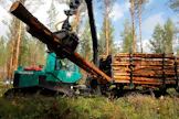 Talvihakkuiden varaan ei jatkossa voida enää laskea edes suopohjaisilla kohteilla. Arkistokuva Etelä-Pohjanmaalta.