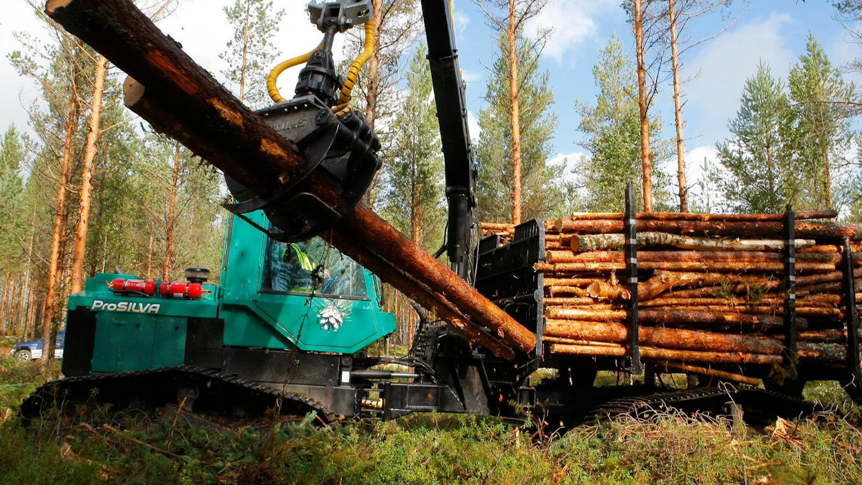 Talvihakkuiden varaan ei jatkossa voida enää laskea edes suopohjaisilla kohteilla. Arkistokuva Etelä-Pohjanmaalta.