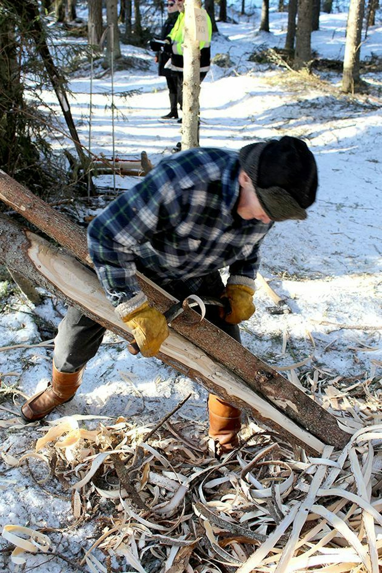 Kuorinta. Ennen tehdaskuorintaan siirtymistä massapuut kuorittiin parkkuuraudalla metsässä tai varastopaikalla. Puolipuhtaaksi kuorittaessa nilakerrosta sai jäädä puun pintaan, mutta puhtaaksi kuorittaessa puusta vuoltiin pois myös uloin vuosikasvu. Kuorittu puu kuivui nopeasti ja kellui hyvin, mikä oli välttämätöntä, koska lähes kaikki puut kuljetettiin tehtaille uittamalla. Puhtaaksi kuorintaa tarvittiin, koska sellua ei entisaikaan valkaistu kemiallisesti.